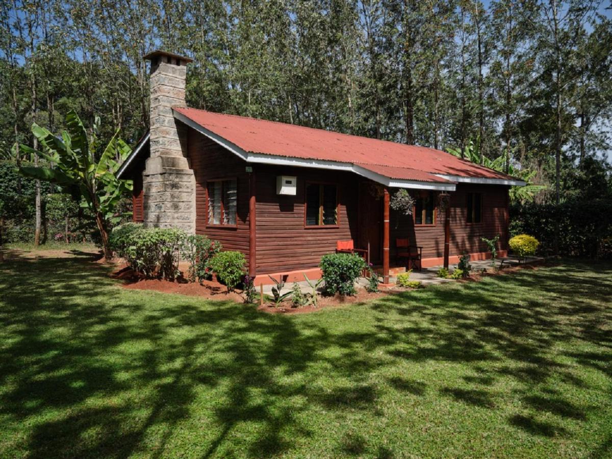 The Drexel House Kenya Otel Nairobi Dış mekan fotoğraf